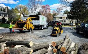 Best Tree Planting Services  in Milford City, CT